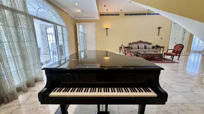 Reception salon — Classic Mansion, Al Shati 6